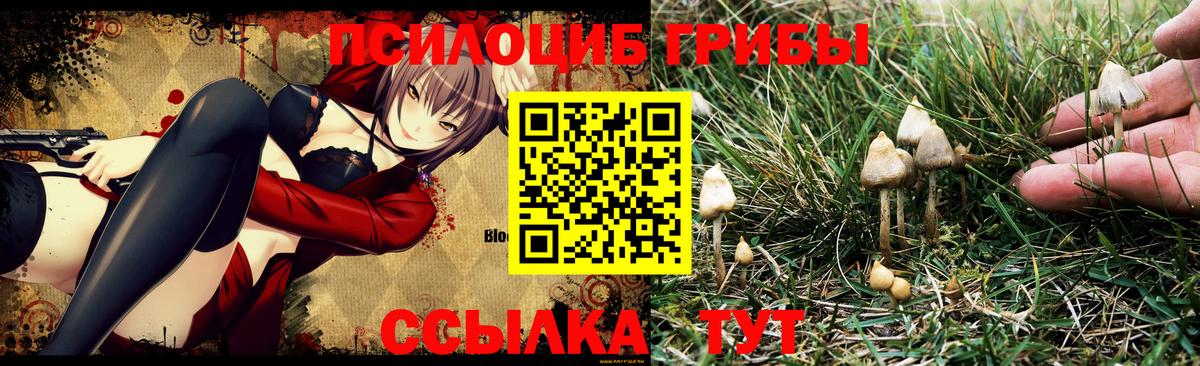 Галлюциногенные грибы MAGIC MUSHROOMS Омск